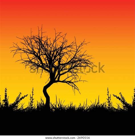 Tree Silhouette Against Sunset Vector Stock Vector Royalty Free