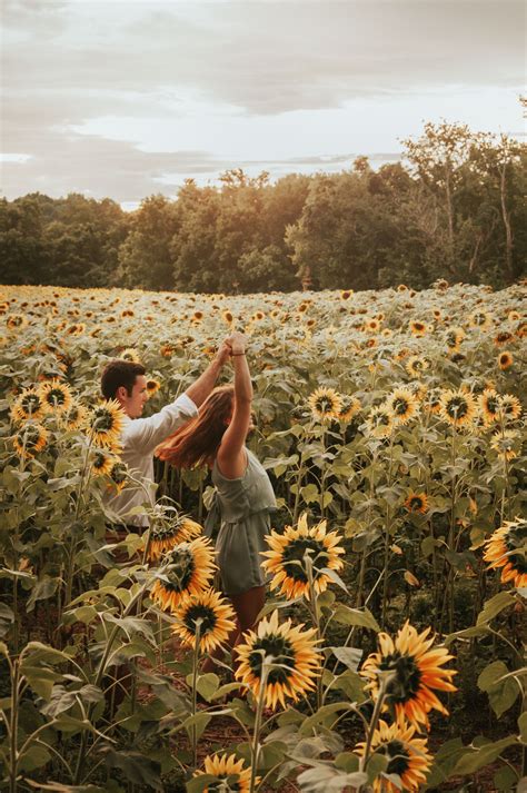 Pin By Tyler Houston On Sunflower Photo Ideas Sunflower Field