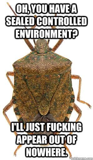 Stink Bug Meme Ctfu Pinterest