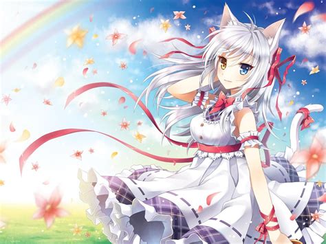 Anime Cat Girls Nekomimi Anime