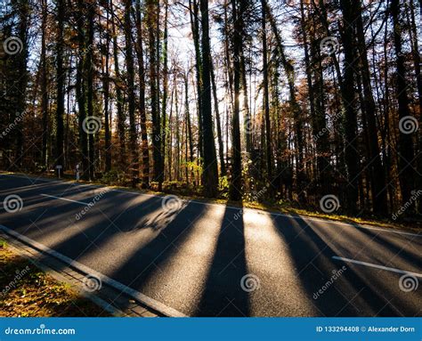 Image Of Road Through The Forest During Autumn Stock Photo Image Of