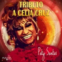 Tributo a Celia Cruz - Album by Paty Santos | Spotify