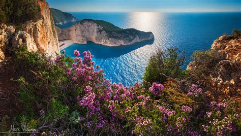 Coast Flower Greece Horizon Mykonos Ocean Pink Flower Rock Wallpaper