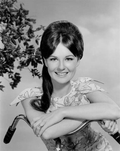 Shelley Fabares Shelley Fabres Actresses Young Celebrities Old