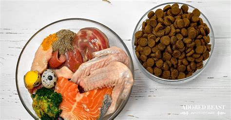 Adding Fresh Food To Kibble Easy Dog Food Topper Recipe