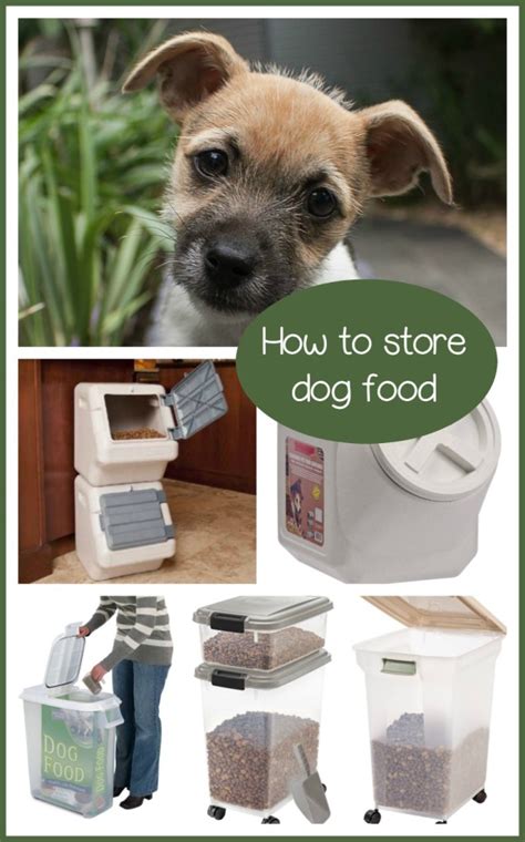 Keep your dog away from macadamia nuts and foods that have macadamia nuts in them. How to Store Dog Food - Tips to Keep Your Dry Food Safe