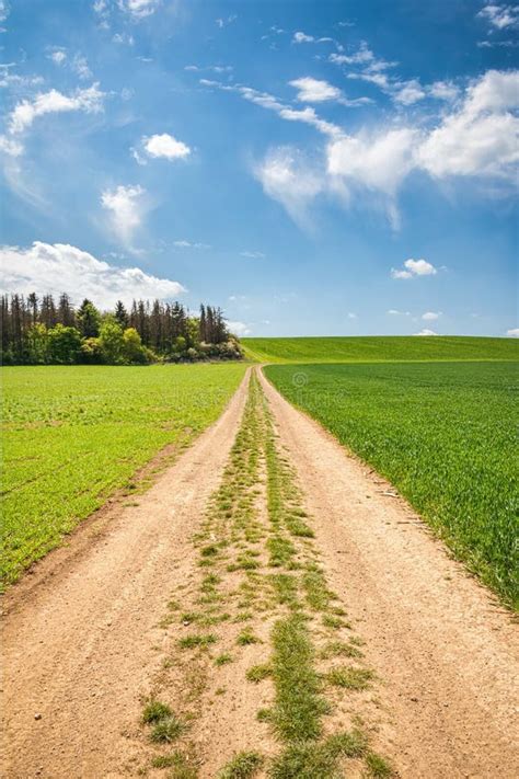 Dirt Road Between Green Fields And Blue Sky Stock Photo Image Of