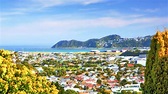Wellington 2021: los 10 mejores tours y actividades (con fotos) - Cosas ...