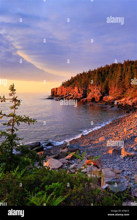 Otter Cliff At Sunrise Acadia National Park Maine Usa Stock Photo