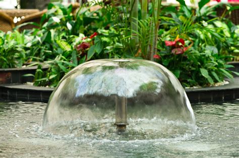 Spruce Up Your Garden Diy Garden Pond Fountain