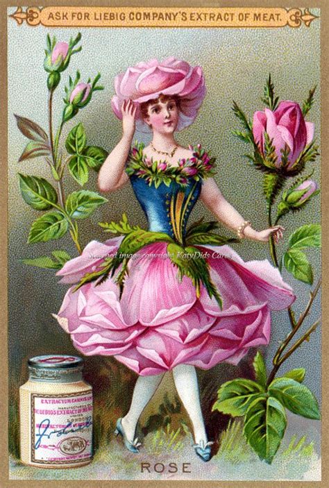 17 Images About Vintage Greeting Cards On Pinterest Pink Roses