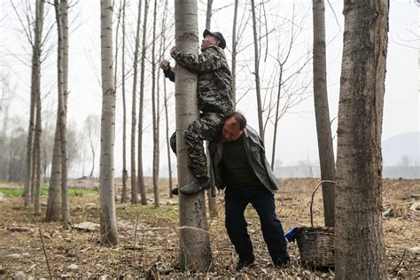 Dua Pria Cacat Asal China Ini Berhasil Tanam 10000 Pohon