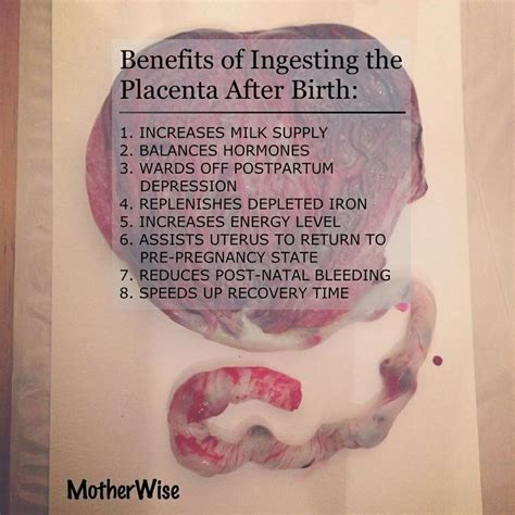 Best She Ate What Placenta Encapsulation Images On Pinterest
