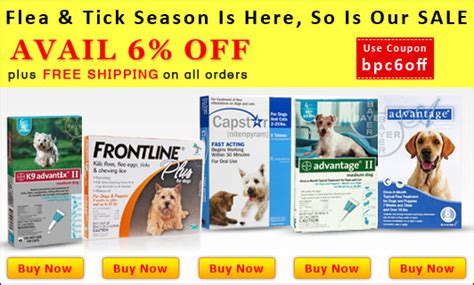 Is It Safe To Order Pet Meds Online