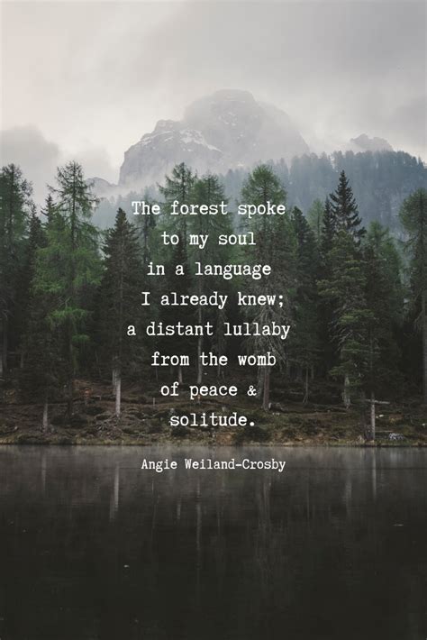 80 Beautiful Nature Forest Quotes Pics Myweb