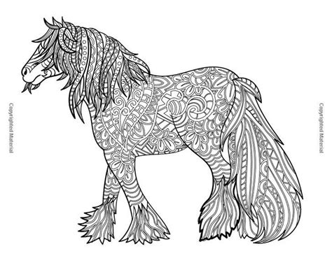 Pin Af Barbara På Coloring Horse Zebra Malebøger