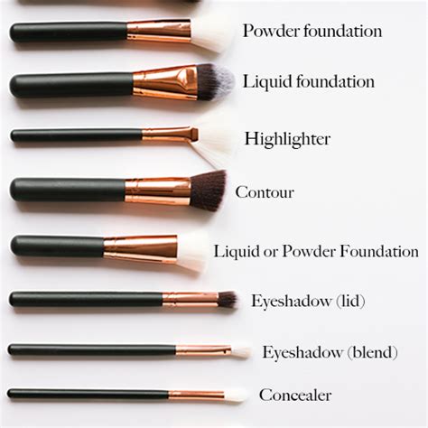 a beginner s guide to every makeup brush and what it s used for shefinds