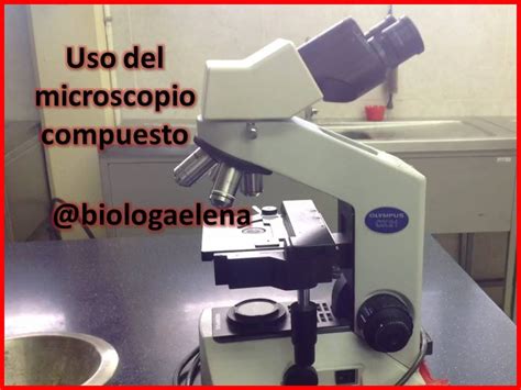 Uso Del Microscopio Compuesto Microscopio De Luz Laboratorio Youtube