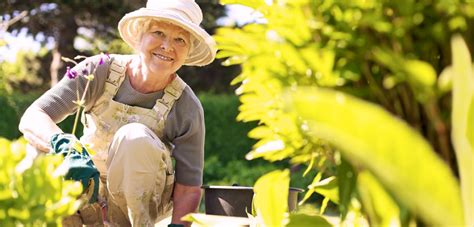 Natural Healing Through Horticultural Therapy