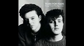 Tears For Fears - Break It Down Again - YouTube