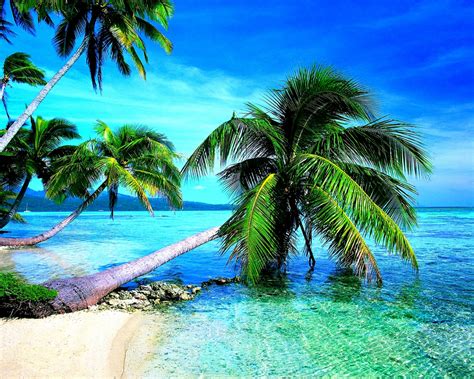 Free Download Free Beach Screensavers And Wallpapers Tropical Beach