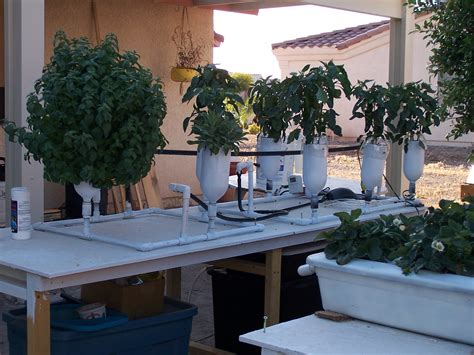 6 Plant Ebb And Flow Flood And Drain Hydroponic System