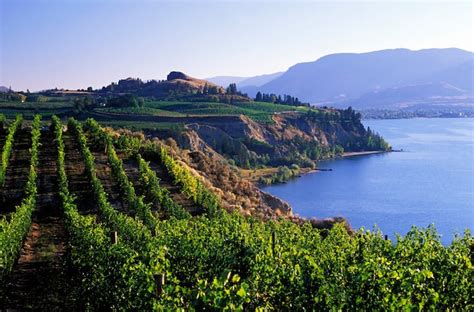 Learn All About Okanagan Wine Country Winetraveler