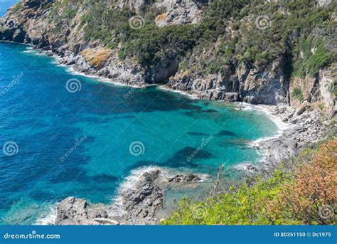 Ilha Da Ilha De Elba Italia Foto De Stock Imagem De Costela Ilha
