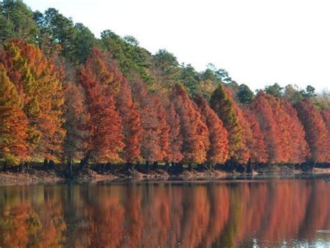 8 Pictures Of Beautiful Fall Foliage At Nebraska State Parks