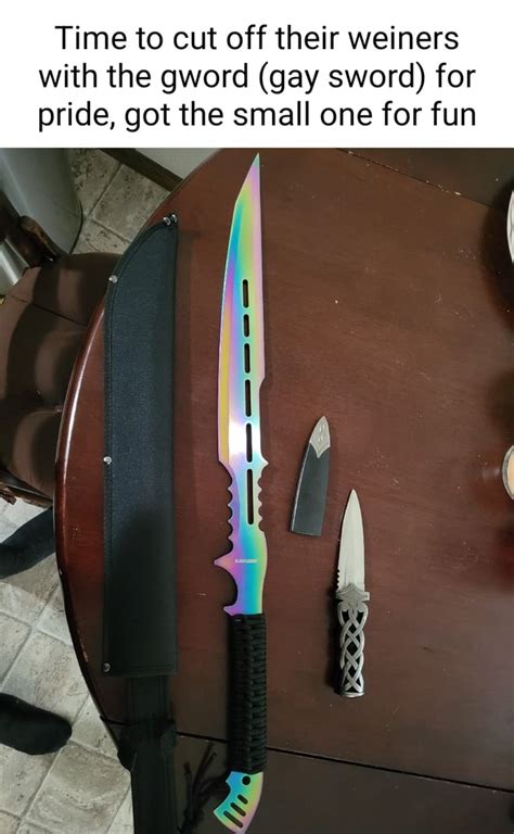Time To Cut Off Their Weiners With The Gword Gay Sword For Pride Got The Small One For Fun