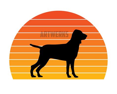 Bracco Italiano Dog Breed Silhouette Retro Sunset Png Svg Not Etsy