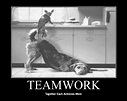 Teamwork Meme - IdleMeme