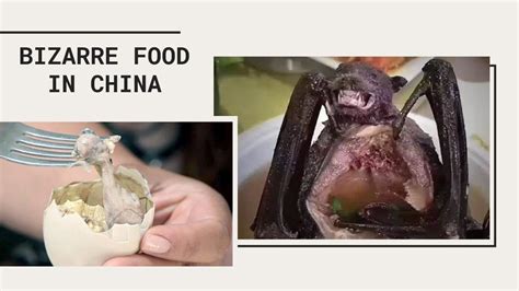 Top 5 Disgusting Foods The Chinese Eat Disgusting Foods The Chinese Eat 2021 Youtube