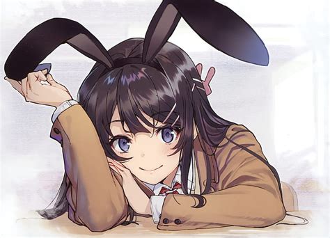 Hd Wallpaper Anime Rascal Does Not Dream Of Bunny Girl Senpai Animal