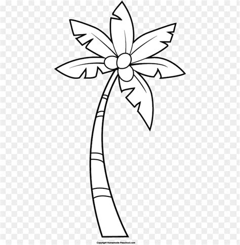 Free Download Hd Png In Palm Tree Clipart Black And White Clipart