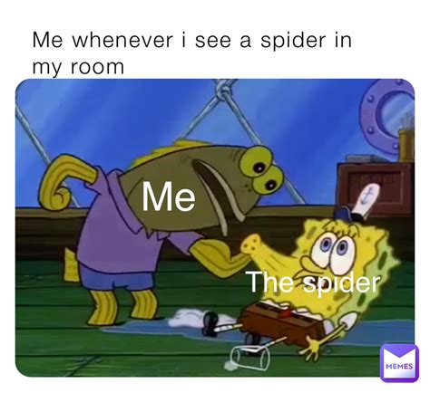 Me Whenever I See A Spider In My Room Me The Spider Memesokayy Memes