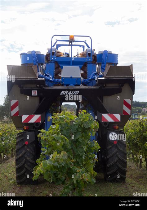 A Grape Harvesting Machine At Work In A Vineyard In The Languedoc