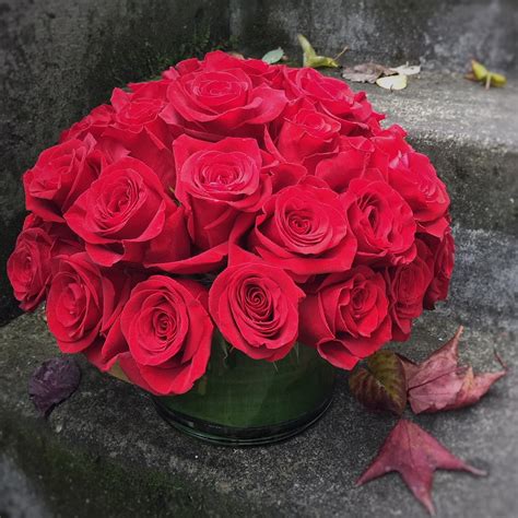 Three Dozen Classic Red Roses In Seattle Wa Fiori Floral Design