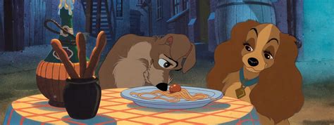 ‘lady And The Tramp The Intelligent Collector