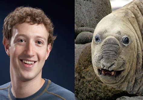 20 Animals That Look Just Like Celebrities Page 2 Of 5