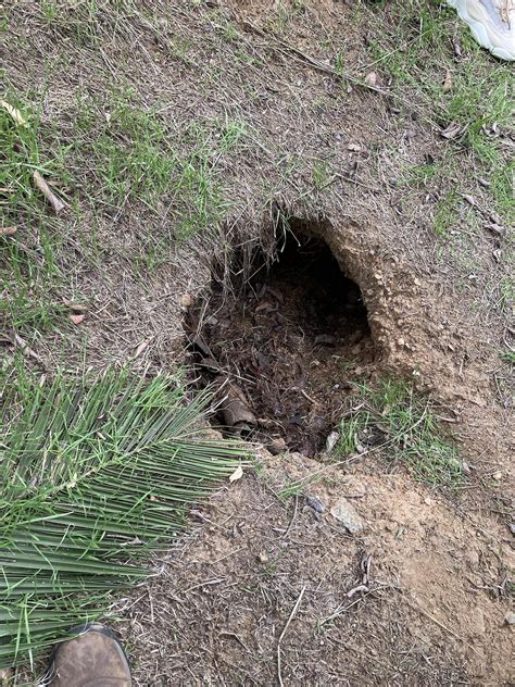 Mysterious Hole Appeared In Our Hillside Homeowners