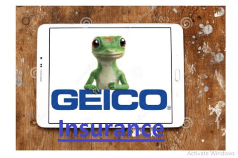 Geico Update Insurance Financial Report
