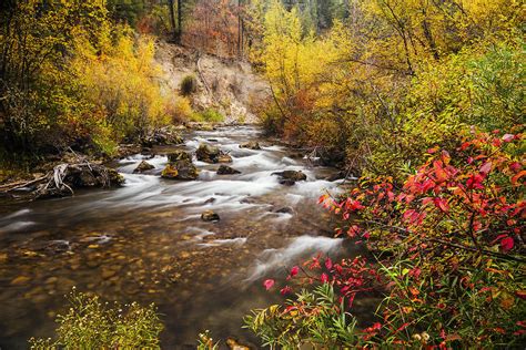 Beautiful Palisades Creek Autumn Glory In Idaho Photograph By