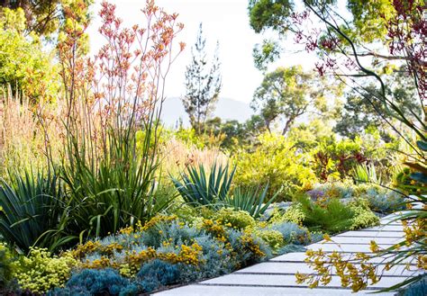 The Planthunter Australian Dreamscapes The Art Of Gardening