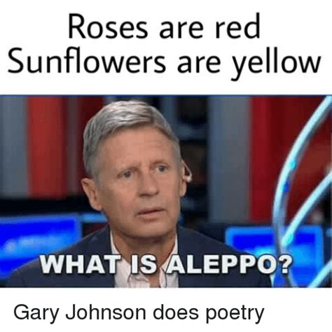 Gary Johnson Memes Examples Of Why Politicians Should Do Their Homework