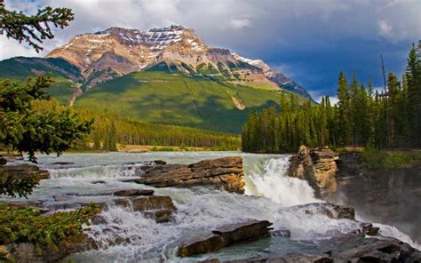 Hd Athabasca Falls In The Canadian Rockies Wallpaper
