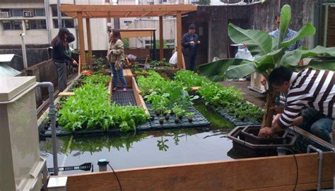 The farms use a fraction of the water. Aquaponic Agriculture Japan - aquaponic