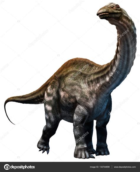 Apatosaurus 3d Illustration — Stock Photo © Warpaintcobra 133744698