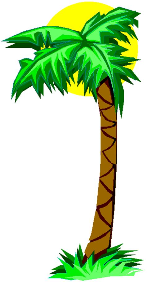Cartoon Palm Trees Clipart Best