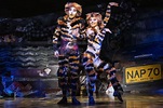 Mungojerrie and Rumpleteazer/German | 'Cats' Musical Wiki | Fandom